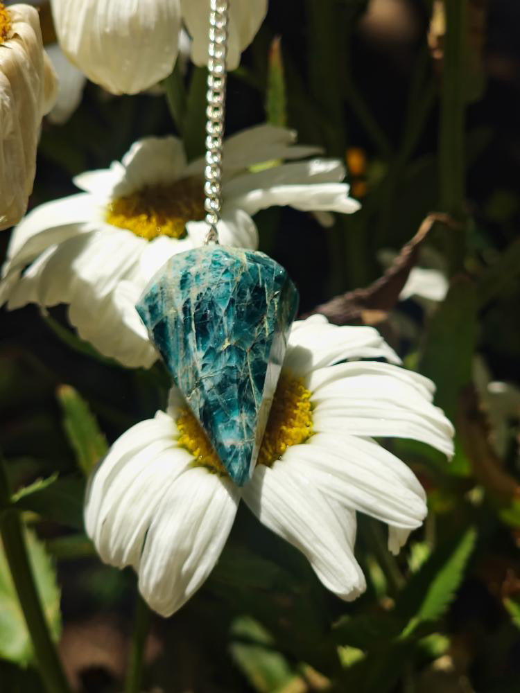 Pendulums